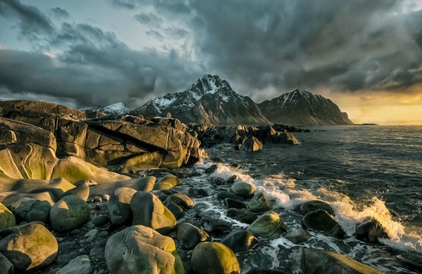Comment choisir une croisière qui propose des activités d'exploration des récifs coralliens avec des biologistes marins?