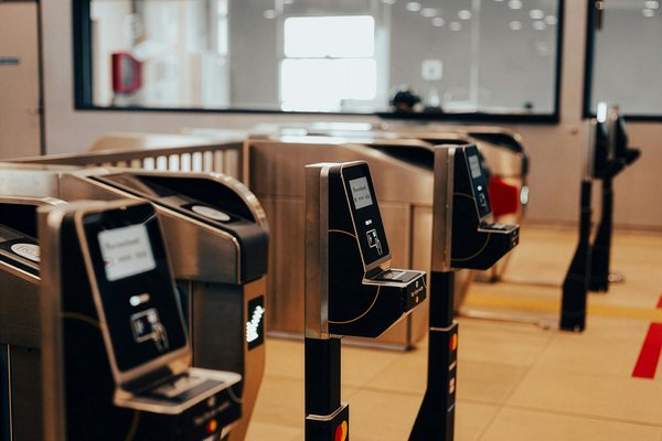 Quels sont les meilleurs spots pour observer les baleines à bosse en Australie : sites et périodes recommandées ?